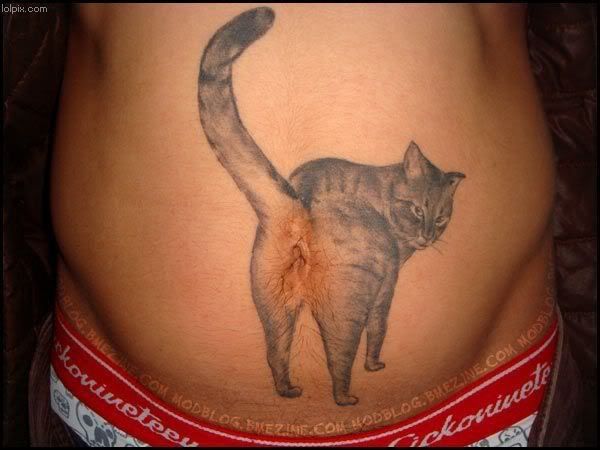 catass.jpg