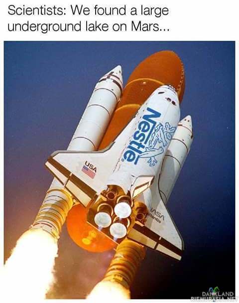 2141801358.jpg