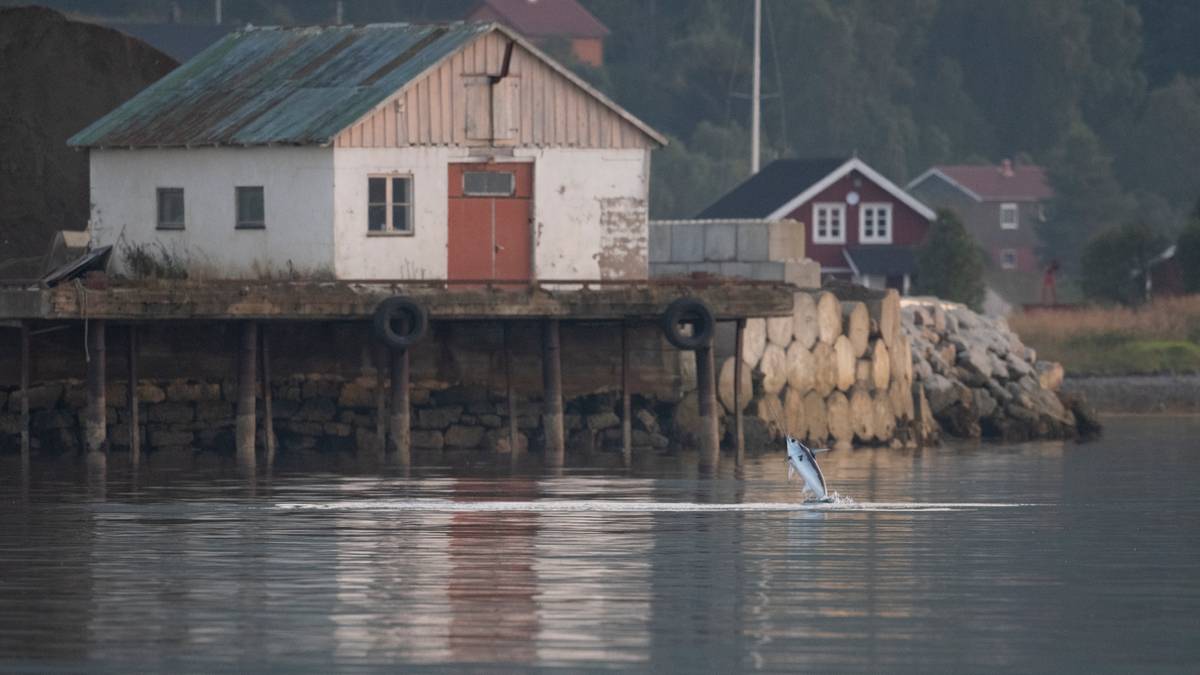 www.nrk.no