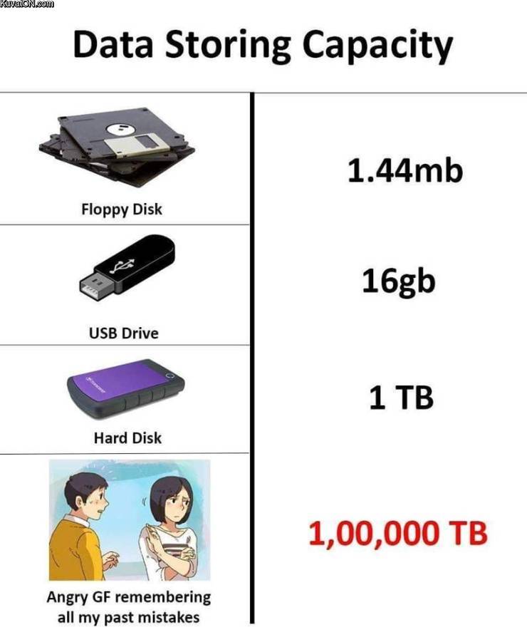 data22.jpg