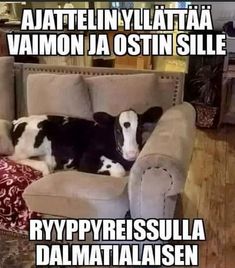 47e72661029655d43eca6737b1dd55fc.jpg