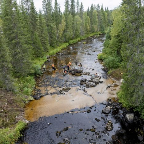 Raakkuja eli jokihelmisimpukoita siirrettiin turvaan ylävirran puhtaaseen veteen Suomussalmen Hukkajoella 23. elokuuta sen jälkeen, kun Stora Enson hakkuutyömaa ja joen yliajo oli sotkenut niiden elinympäristön.