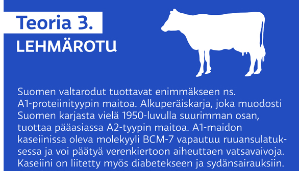 kc-a1a2.nosto_.jpg
