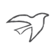 iprafoundation.org