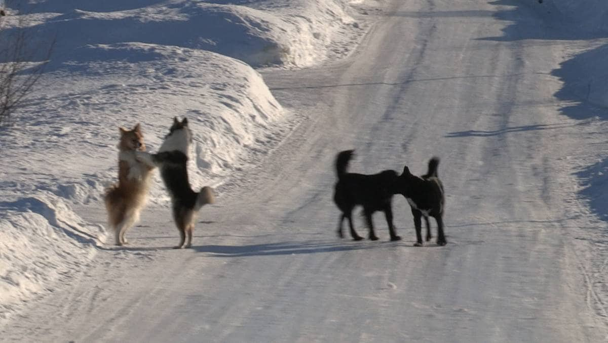 www.nrk.no