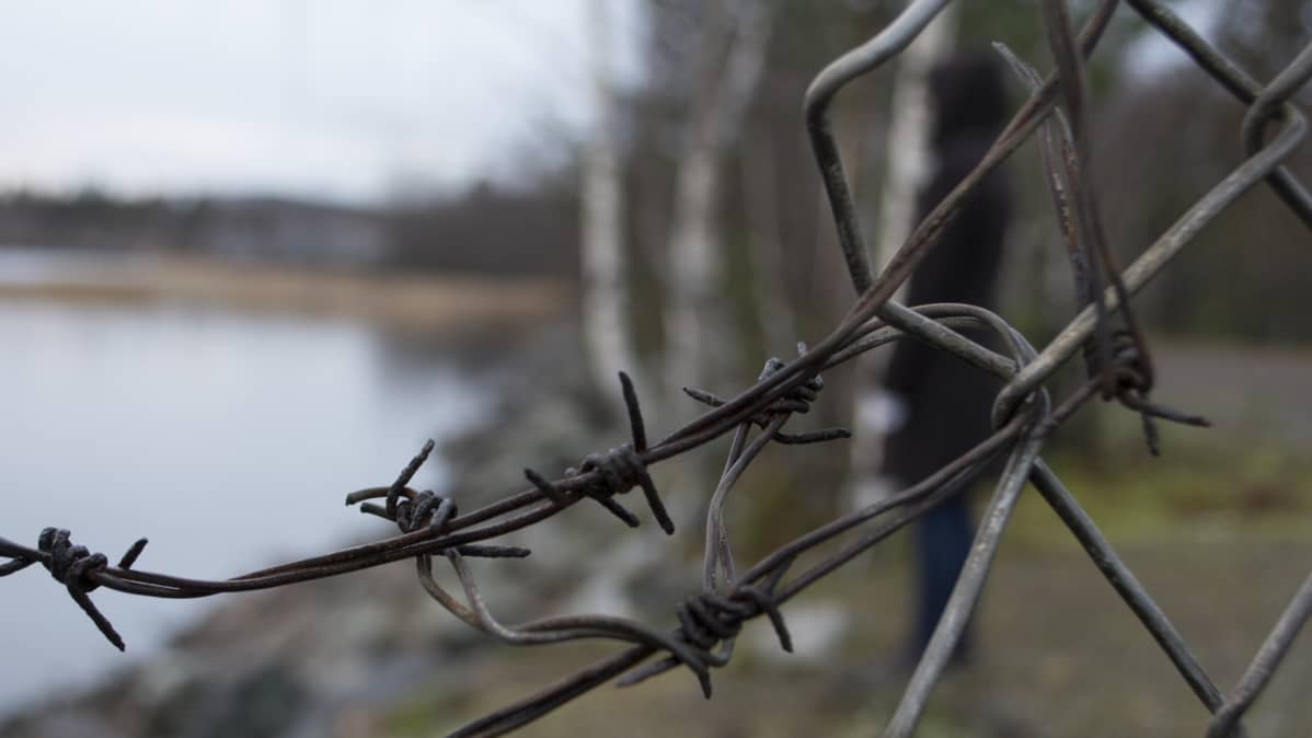 Piikkilanka.