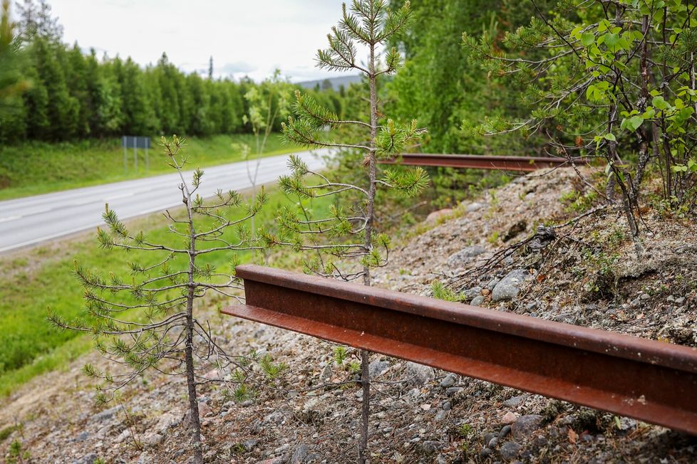 Sallan radan raiteet pilkistävät metsästä lähellä rajanylityspaikkaa.