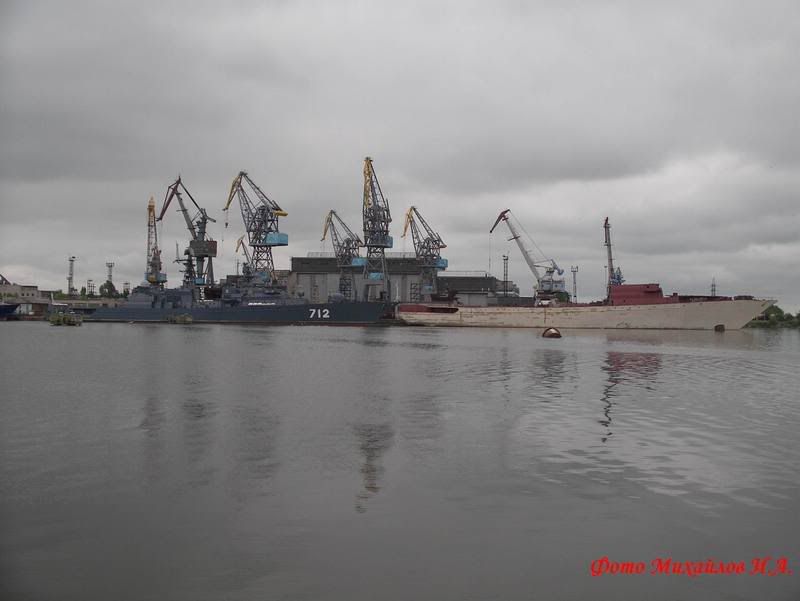 IMGP2940.jpg