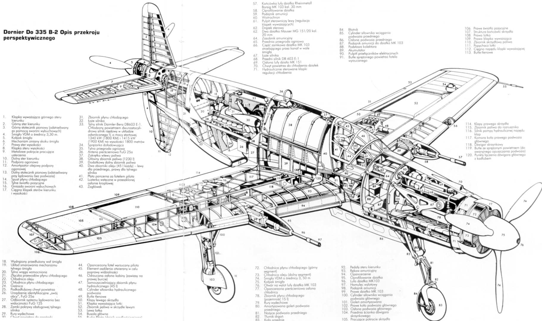 Do235_B-1.jpg