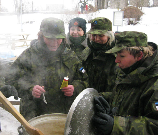 t2_08_-_naiskodukaitse_2.jpg