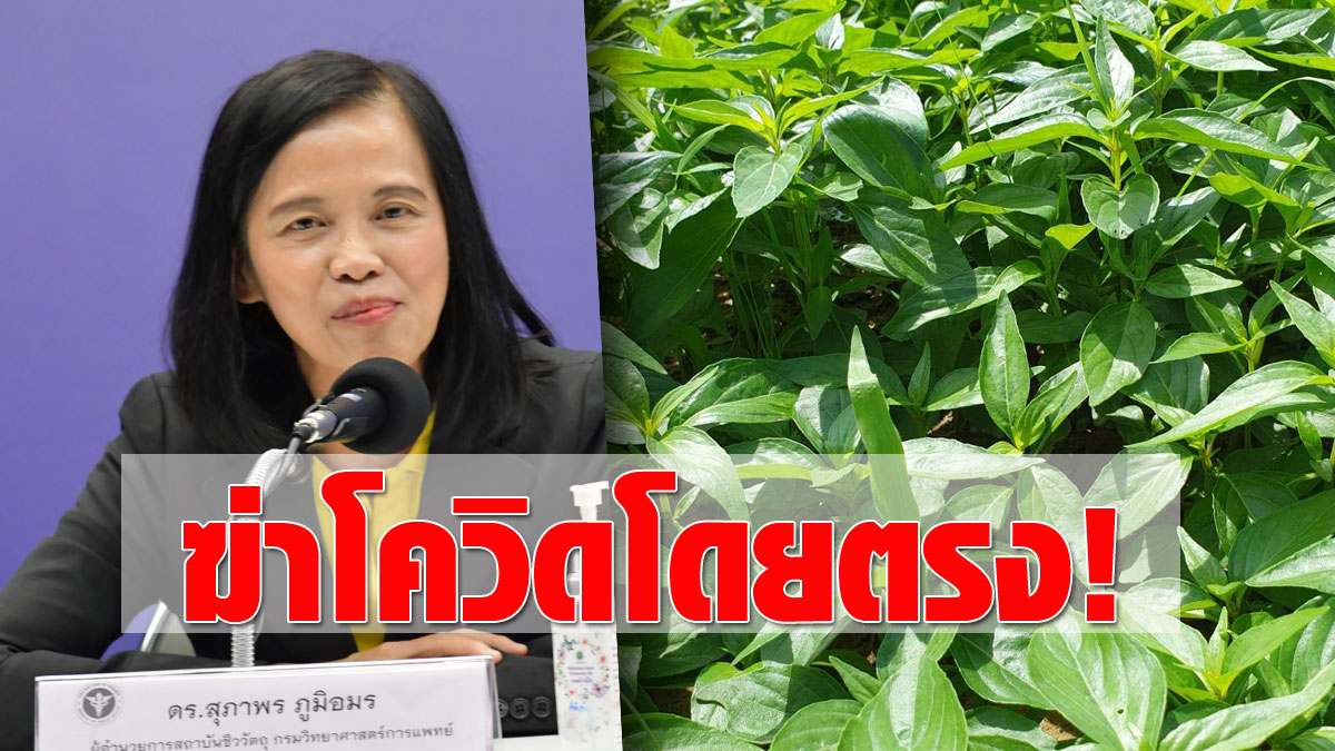 www.khaosod.co.th