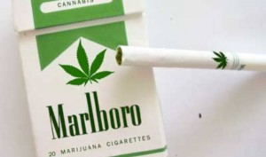 marijuana-cigarettes-300x177.jpg