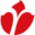 www.hengitysliitto.fi
