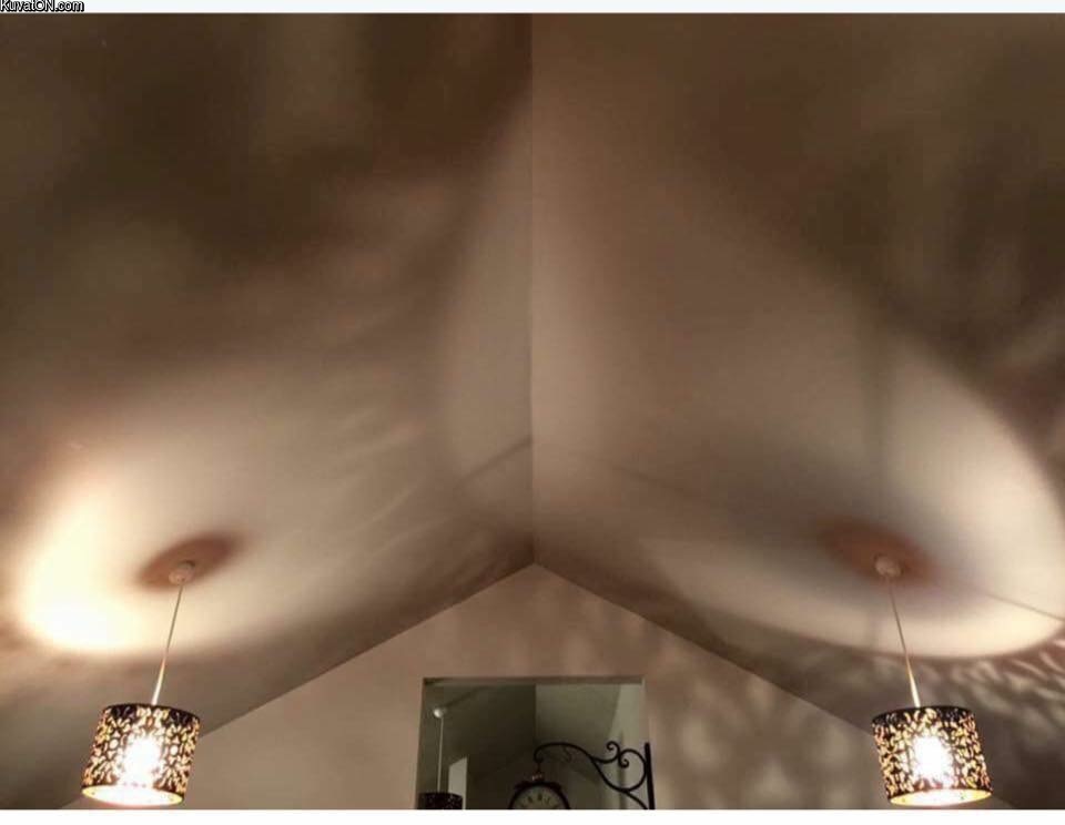 tasteful_lights.jpg