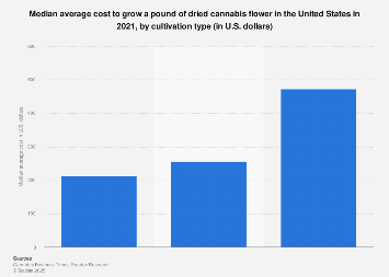 www.statista.com