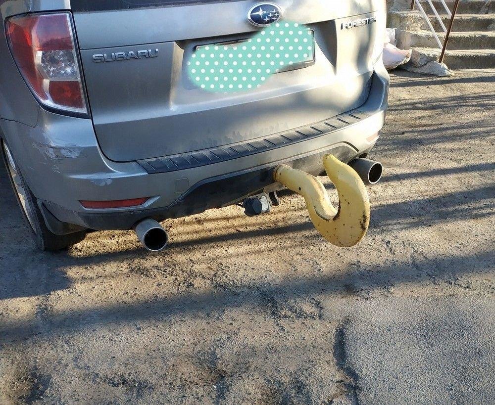 008.jpg