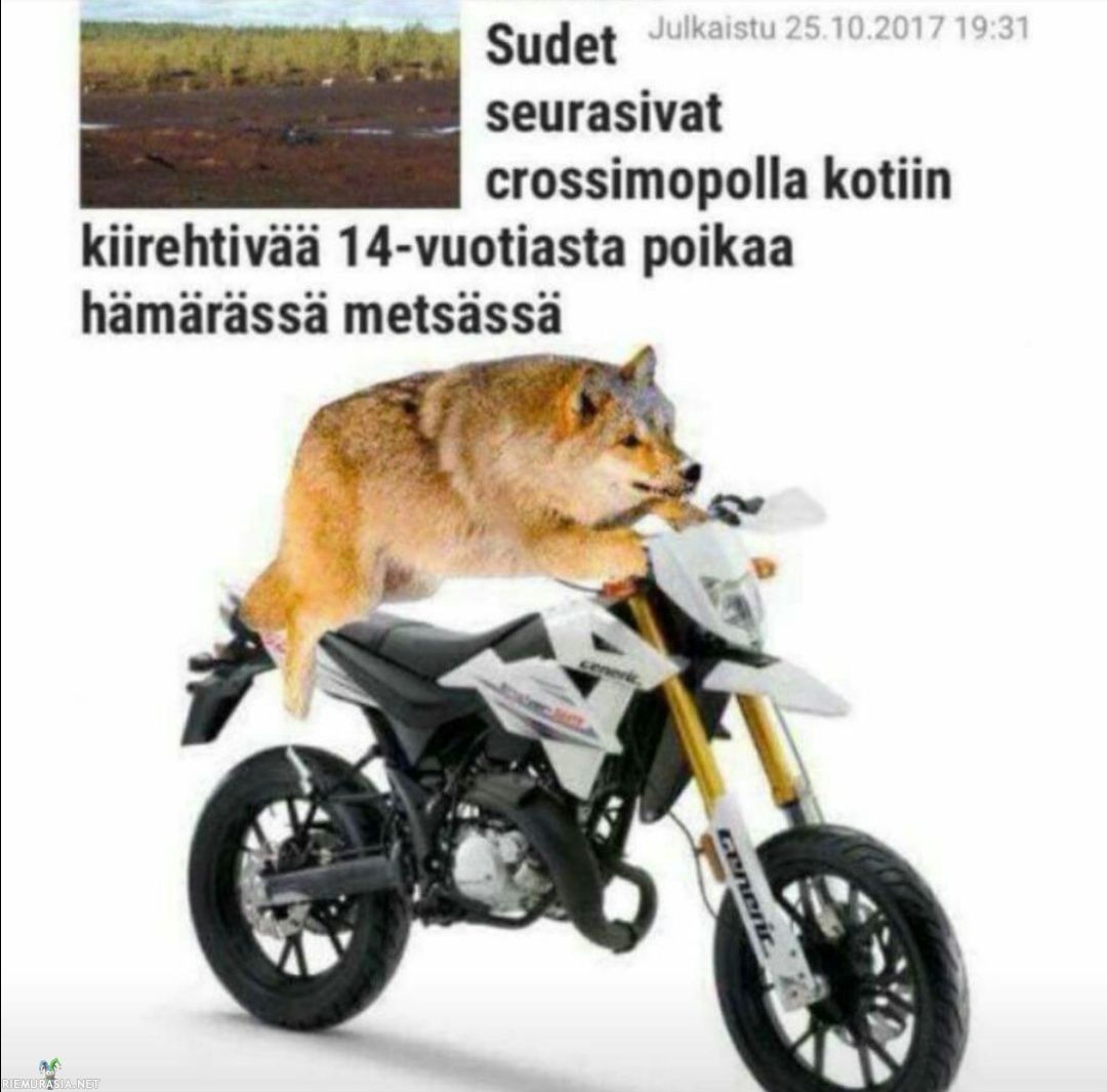 2114181554.jpg