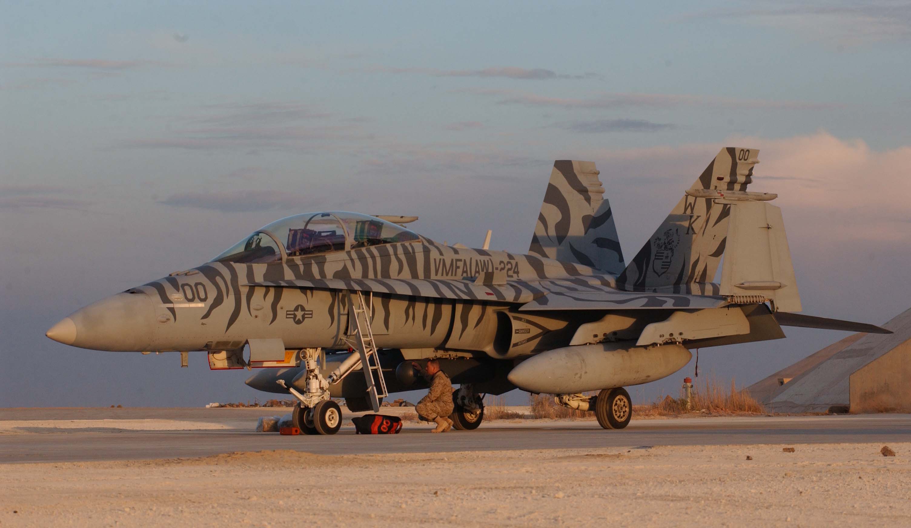 FA18D_Bengals.JPG