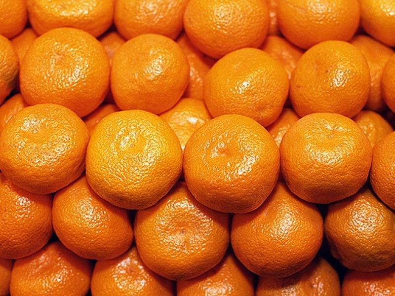 east-fruit.com