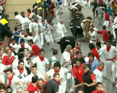 EDCL.gif