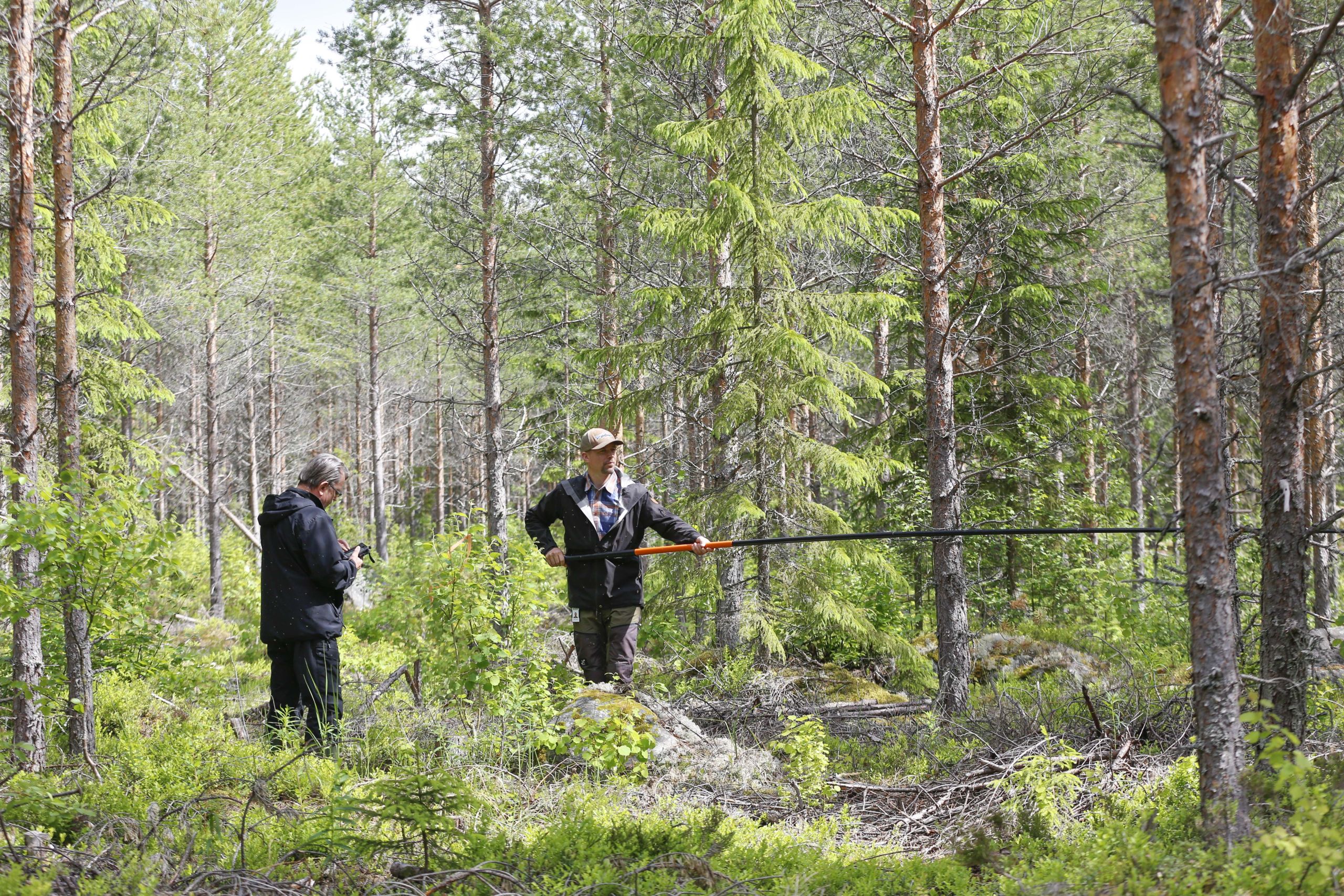 www.metsalehti.fi