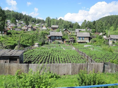 Dacha-Garden5Web.jpg