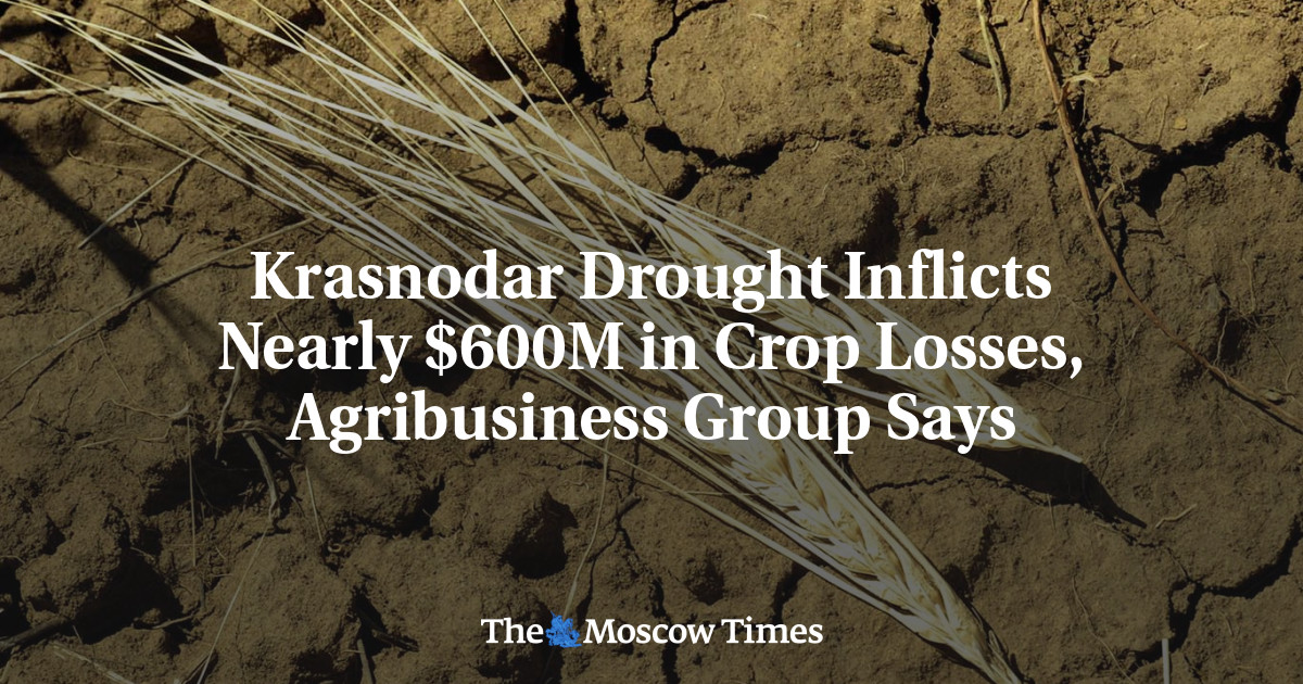 www.themoscowtimes.com