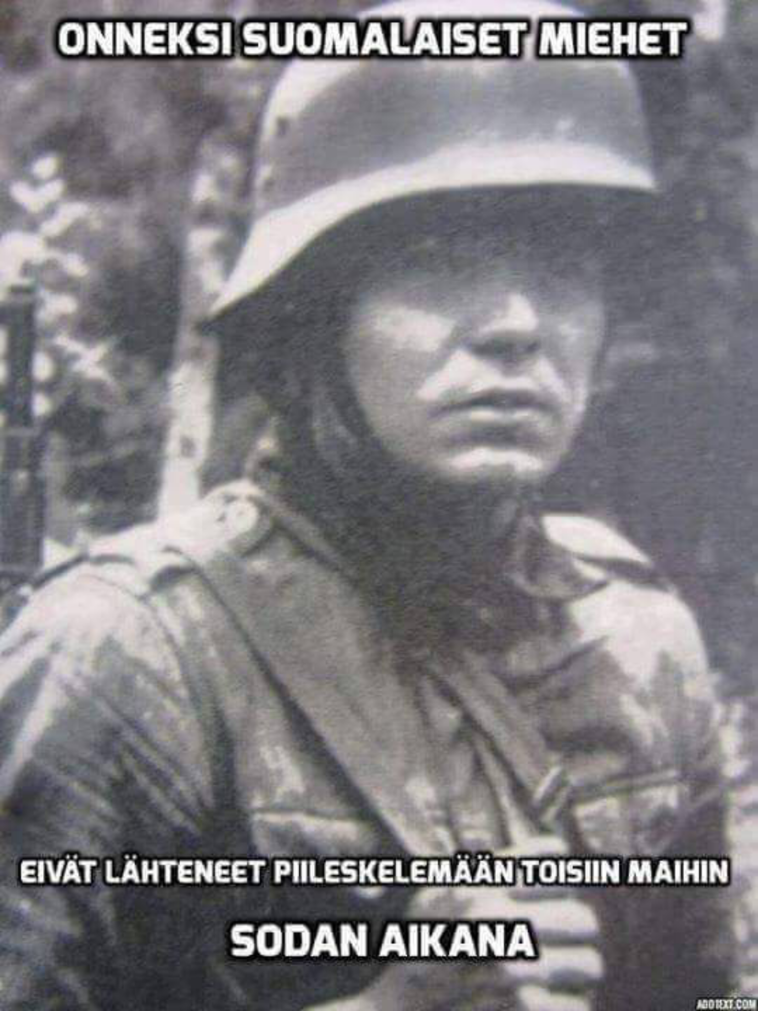 192274ef5a50a7a5ed2aa473c743c136.png