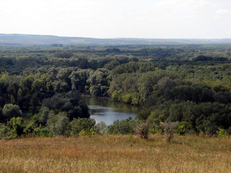 commons.wikimedia.org