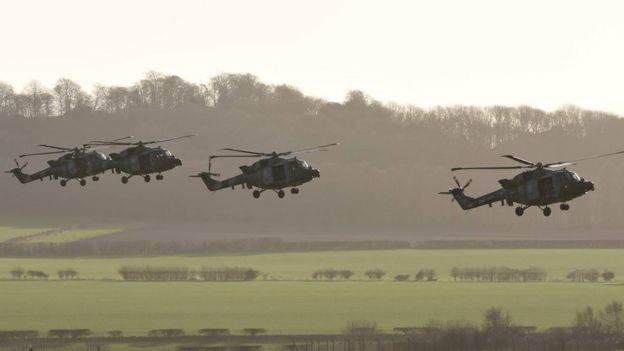 _99621733_lynx2.jpg
