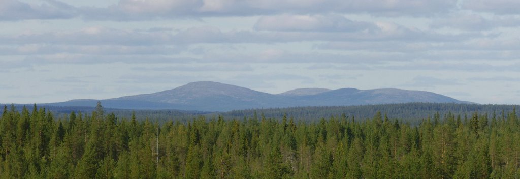 26072589.jpg