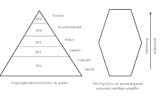 FM%2Borg13.jpg