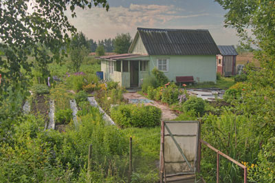Dacha-Garden2Web.jpg