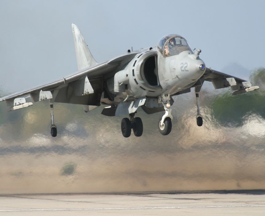 harrier.jpg