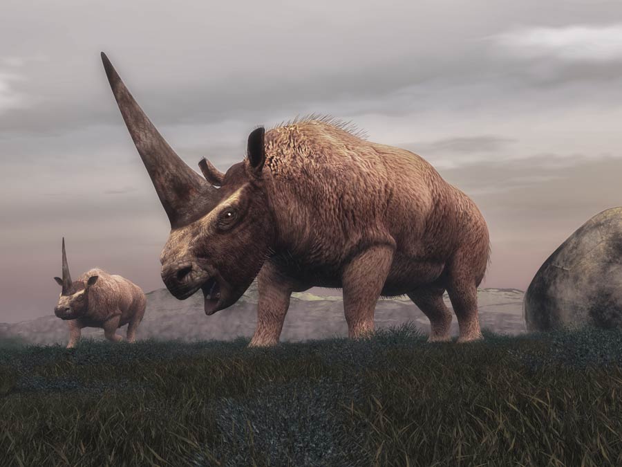 www.ancient-origins.net