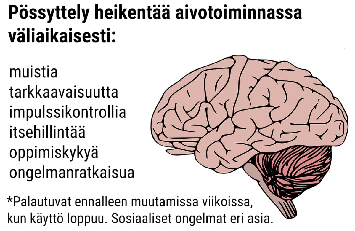 Aivot
