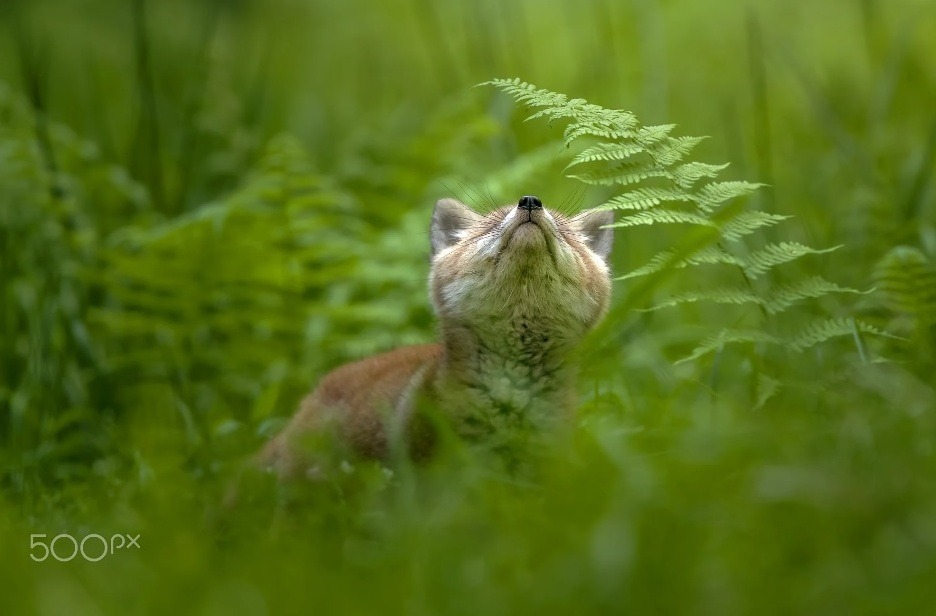 tumblr_p9sj0raBsB1roirddo1_1280.jpg