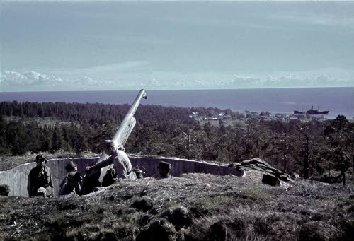 165801_r500.jpg