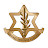 Israel Defense Forces