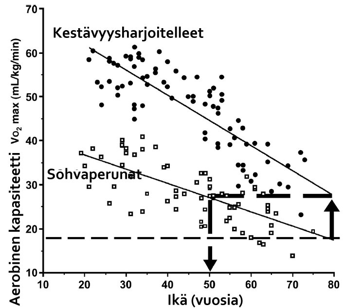 kestc3a4vys_nuorentaa.jpg