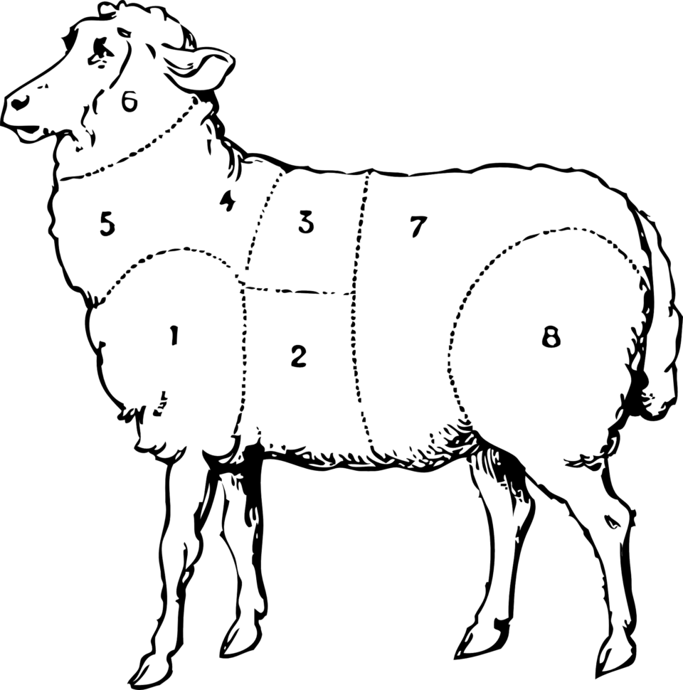 ruhonosa_lamb-31718-960x970.png