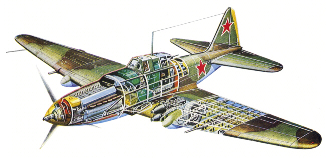 IL-2_09.jpg