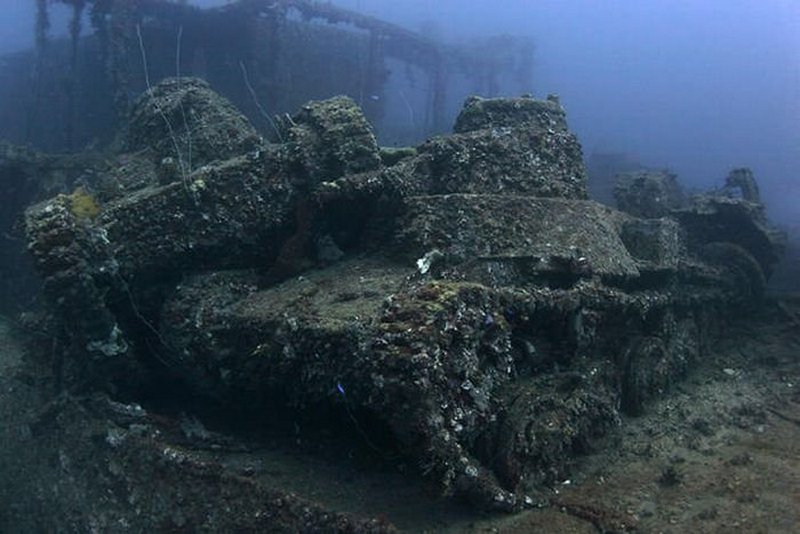 8815949ayl.jpg