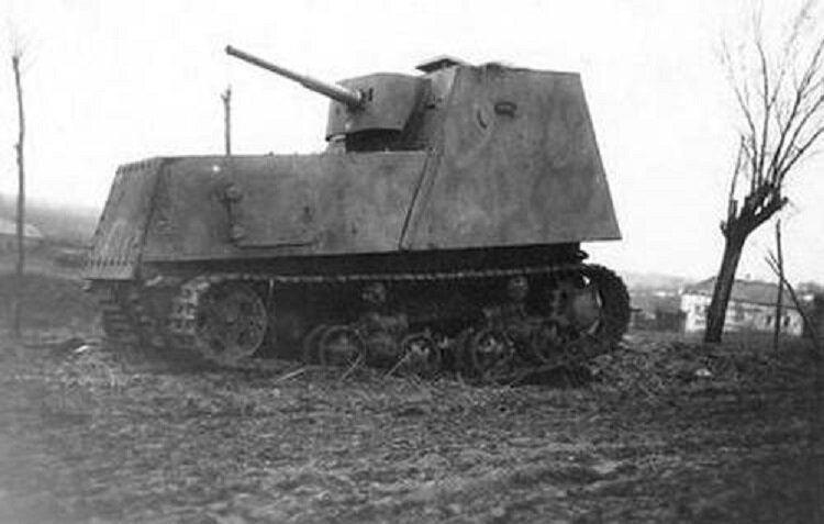 1553187516-18.jpg