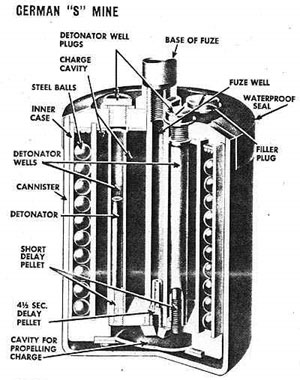 Smine-diagram.jpg