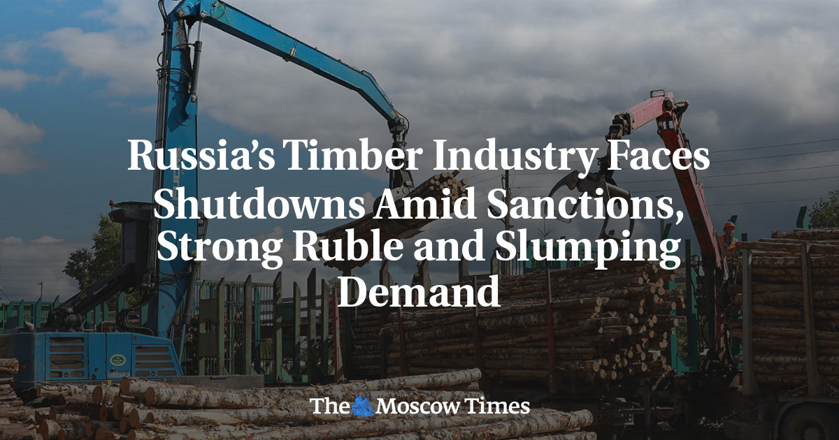 www.themoscowtimes.com