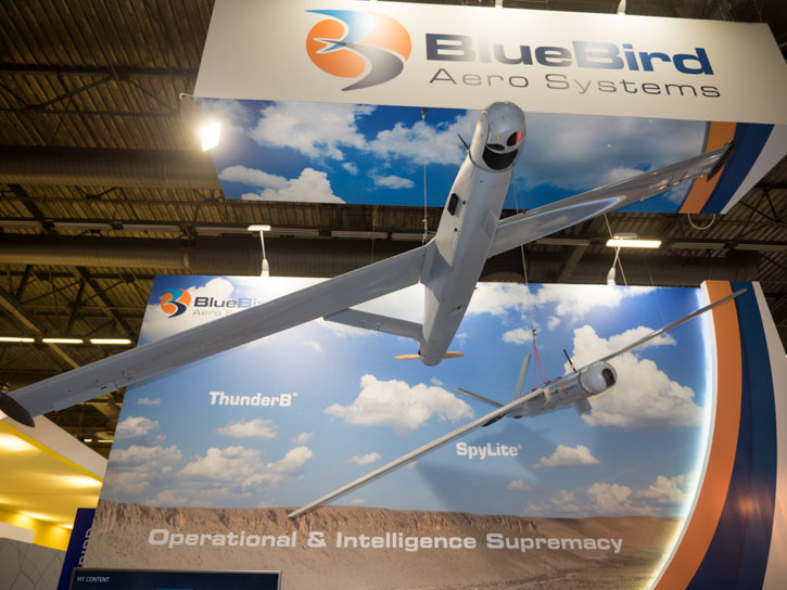 P1930246-bluebird-uavs.jpg