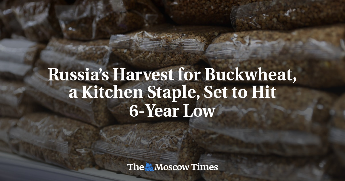 www.themoscowtimes.com