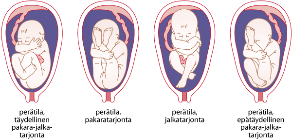 www.terveyskirjasto.fi