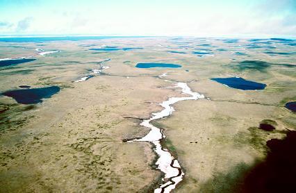 ueol_03_img0099.jpg